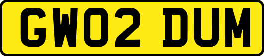 GW02DUM