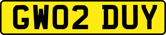 GW02DUY