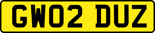 GW02DUZ