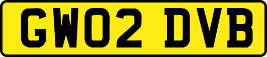 GW02DVB