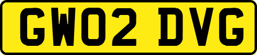 GW02DVG