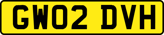 GW02DVH