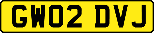 GW02DVJ