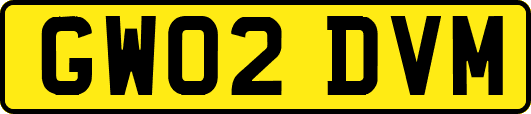 GW02DVM
