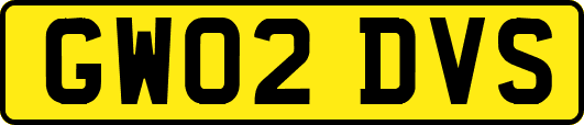 GW02DVS