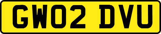 GW02DVU
