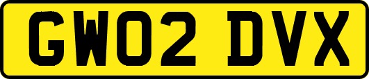 GW02DVX