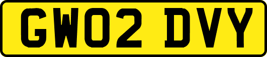 GW02DVY