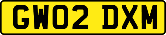 GW02DXM