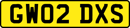 GW02DXS
