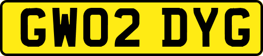 GW02DYG