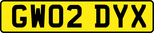 GW02DYX