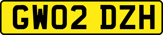 GW02DZH