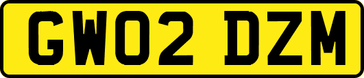 GW02DZM