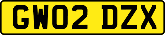 GW02DZX