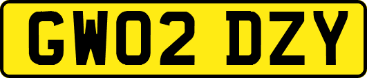 GW02DZY
