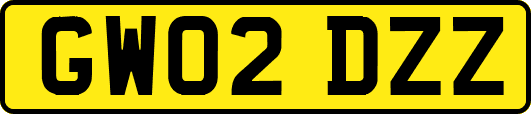 GW02DZZ
