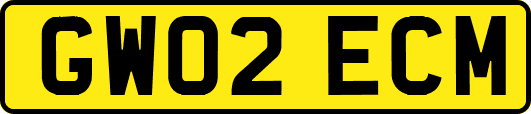 GW02ECM