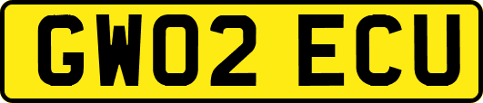 GW02ECU