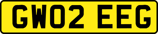 GW02EEG