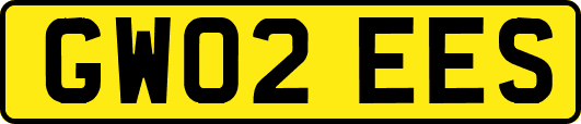 GW02EES