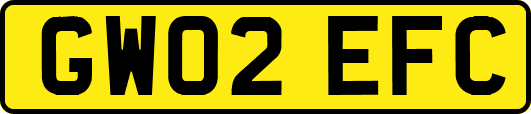 GW02EFC