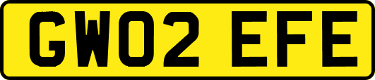 GW02EFE