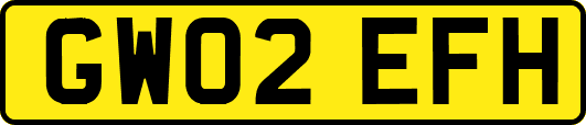 GW02EFH