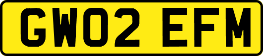 GW02EFM