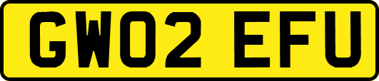 GW02EFU