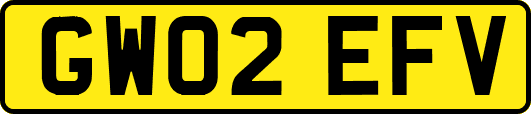 GW02EFV