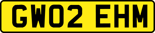 GW02EHM