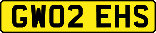 GW02EHS