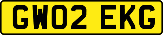GW02EKG