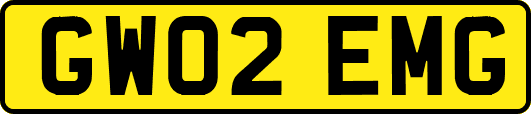 GW02EMG