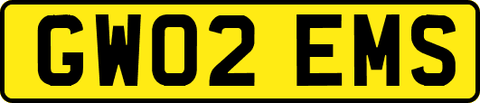 GW02EMS