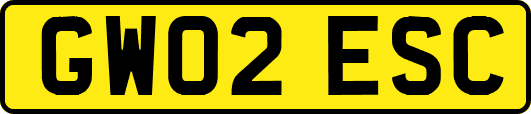 GW02ESC