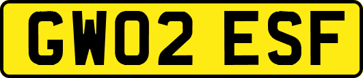 GW02ESF