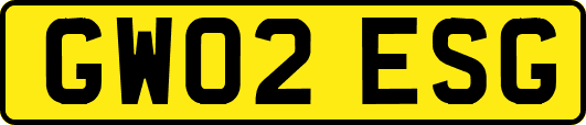GW02ESG