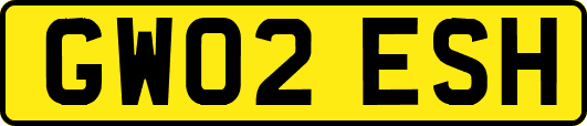 GW02ESH