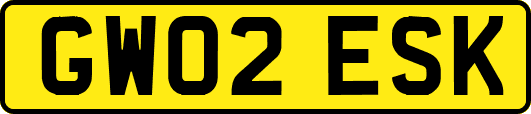 GW02ESK