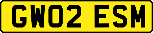 GW02ESM