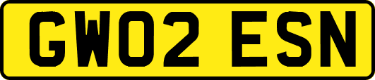 GW02ESN