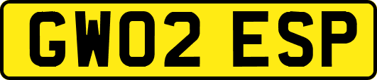 GW02ESP