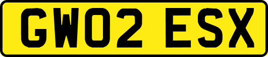 GW02ESX