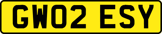 GW02ESY