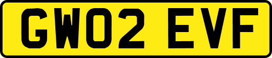 GW02EVF