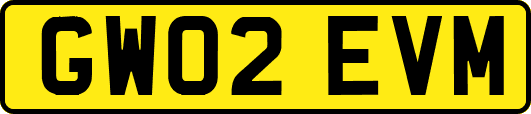 GW02EVM