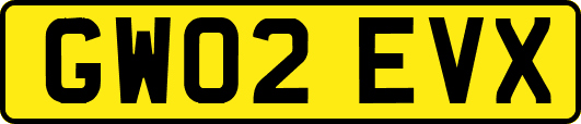 GW02EVX