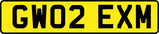 GW02EXM